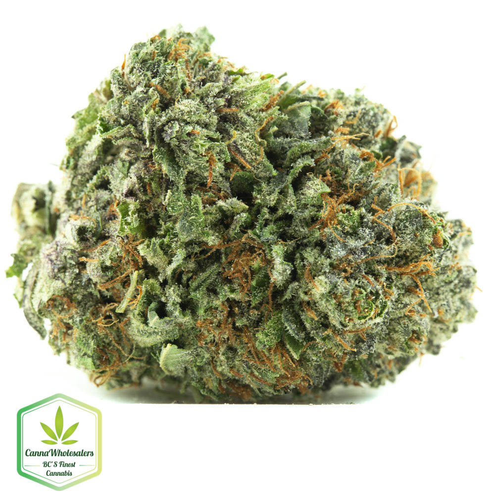 Purple Punch