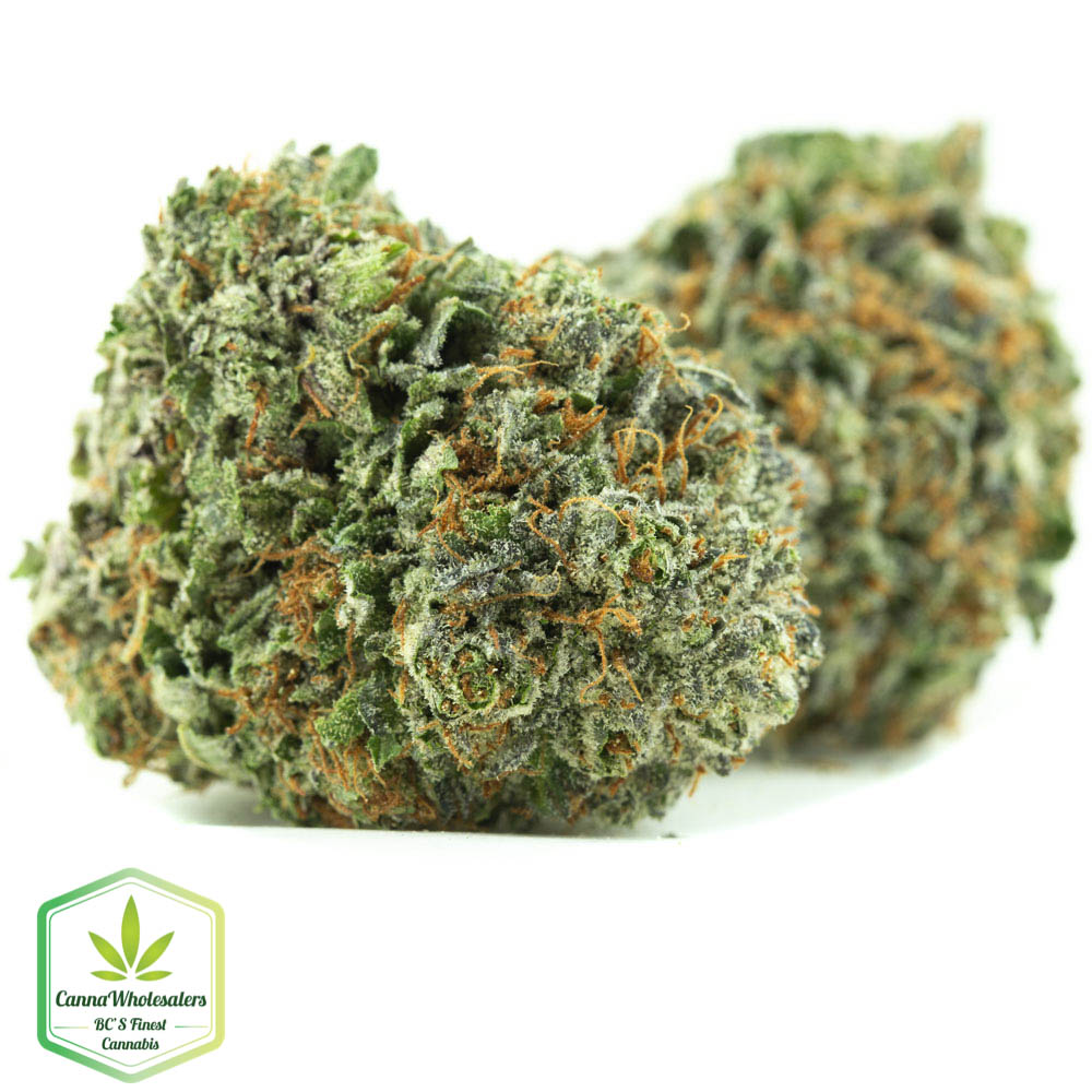 Purple Punch