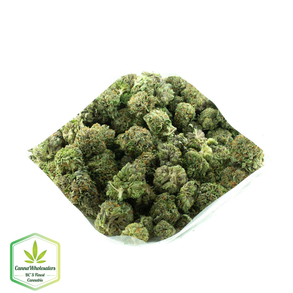 Purple Punch