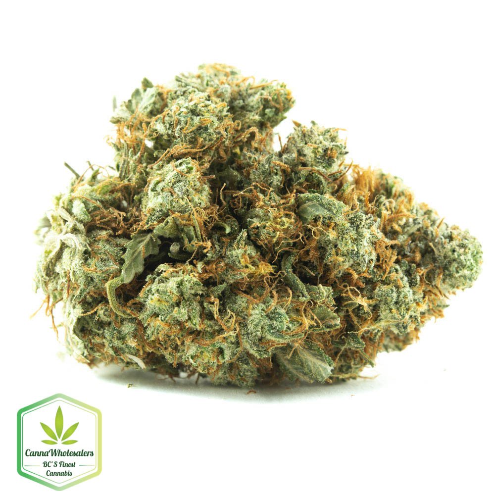 Purple Arrow – Budget Ounce