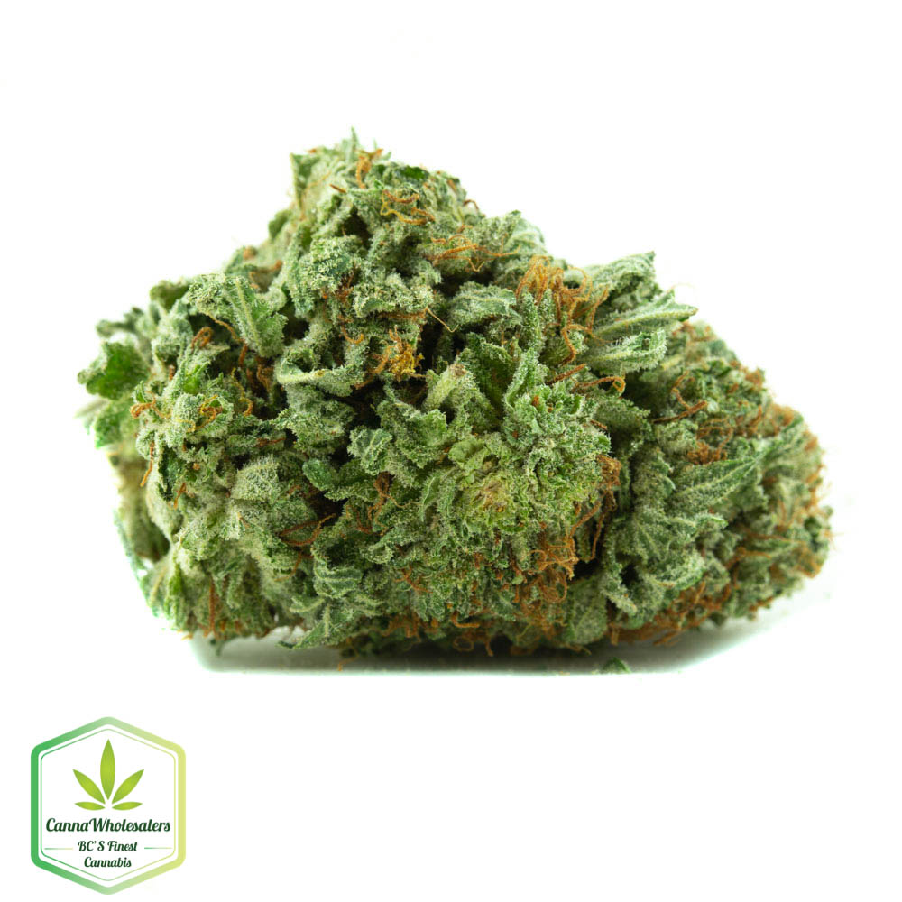 Purple Chemdawg – Budget Ounce
