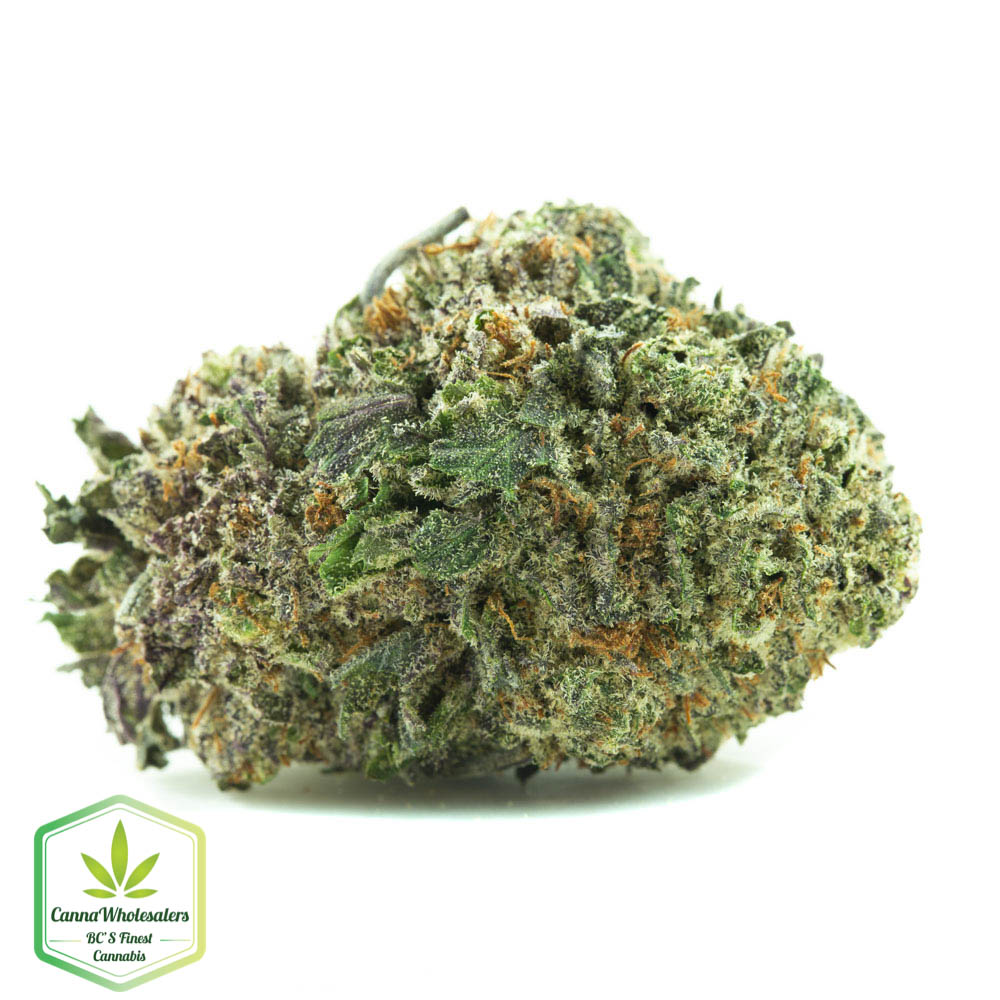 Purple Haze