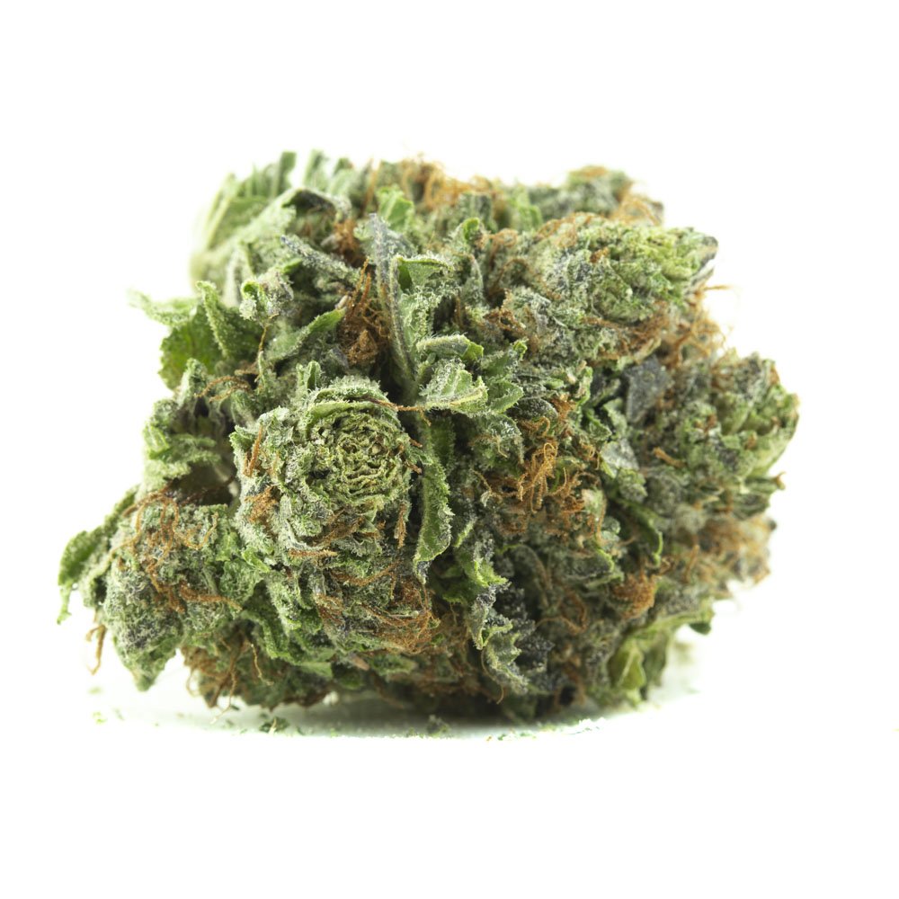 Purple Kush