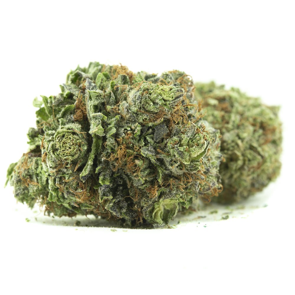 Purple Kush