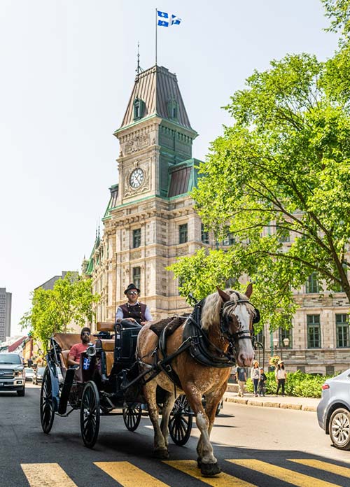 Best Online Dispensary in Quebec City