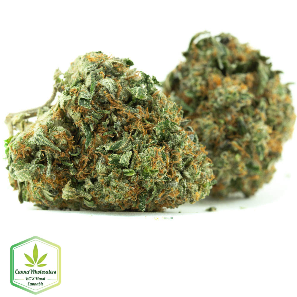 Master Kush
