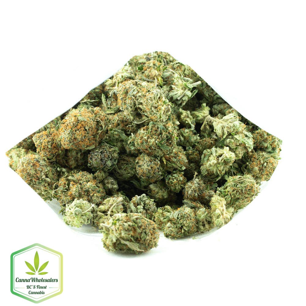 Master Kush