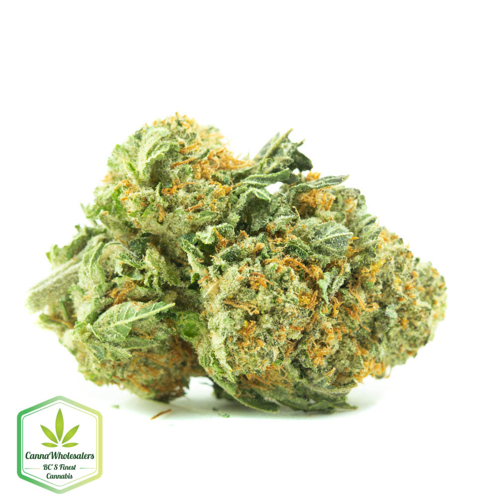 Sherbert