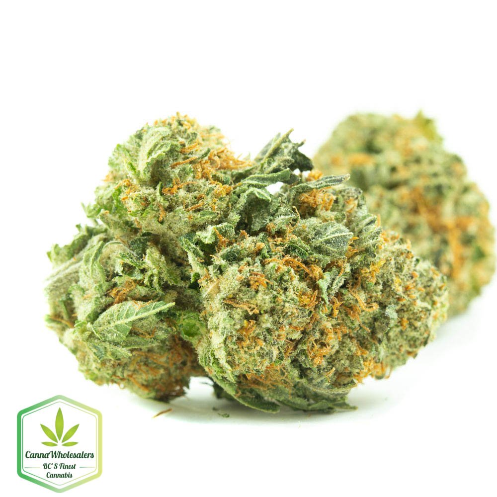 Sherbert