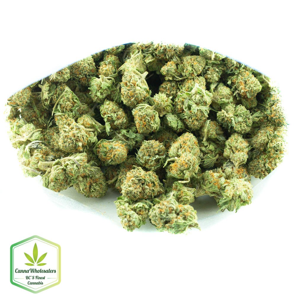 Sherbert
