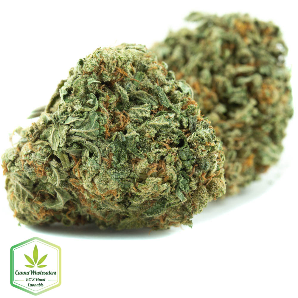 Budget Bulk Sour Bubba