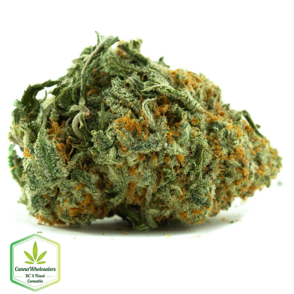 Dutch Treat