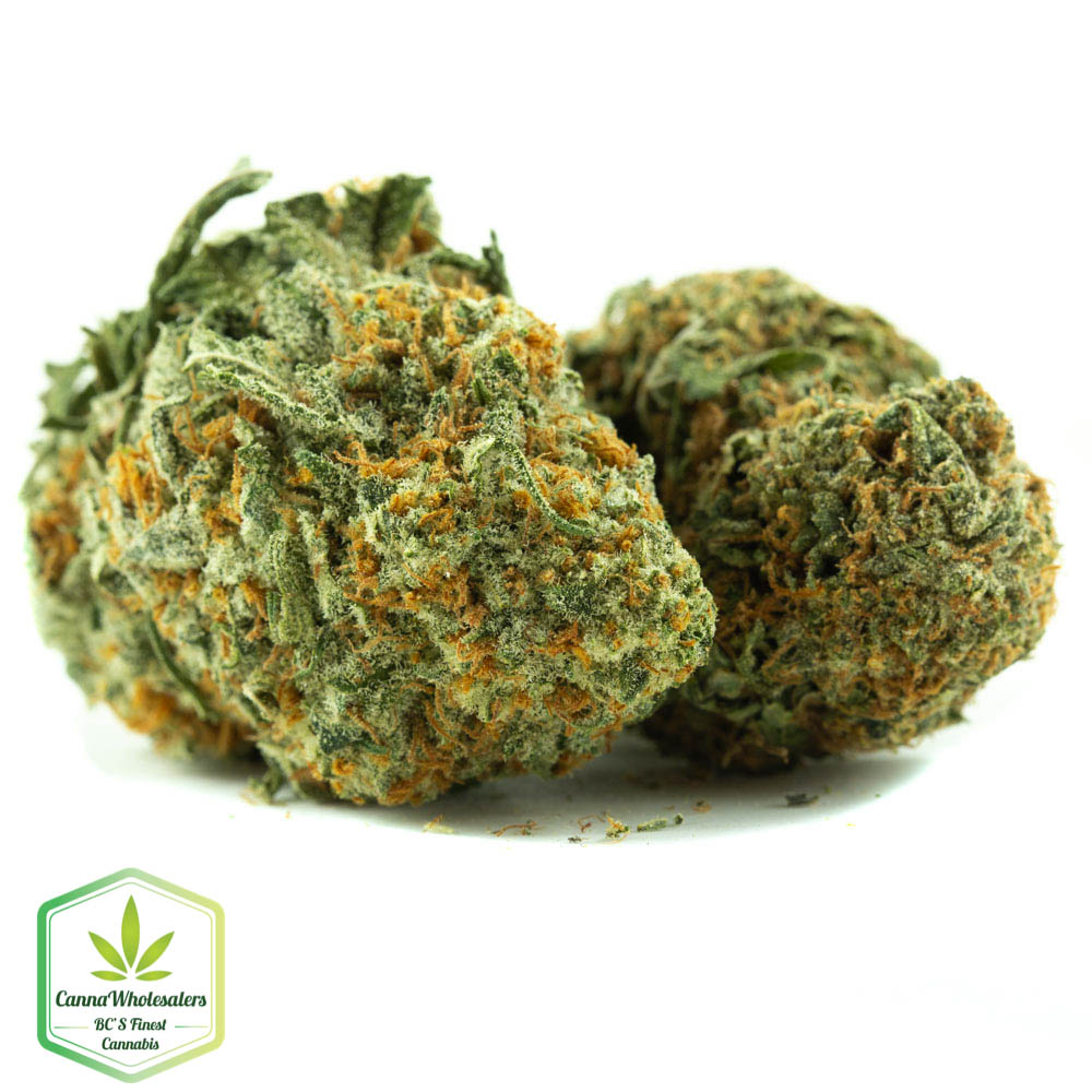 Dutch Treat