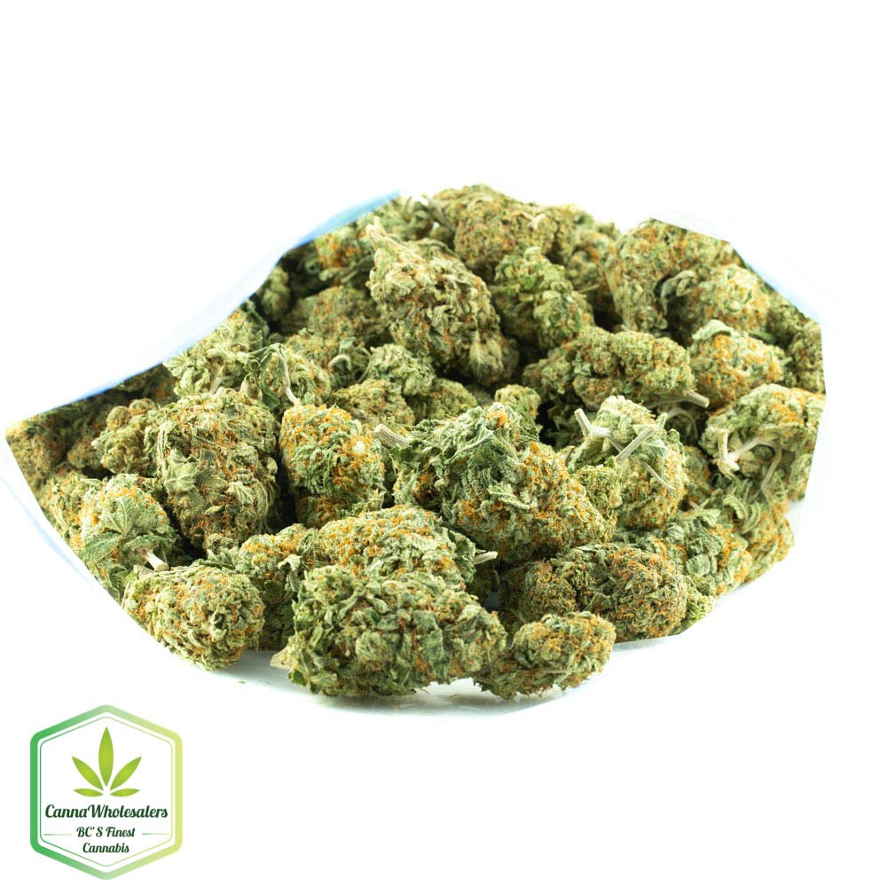 Dutch Treat