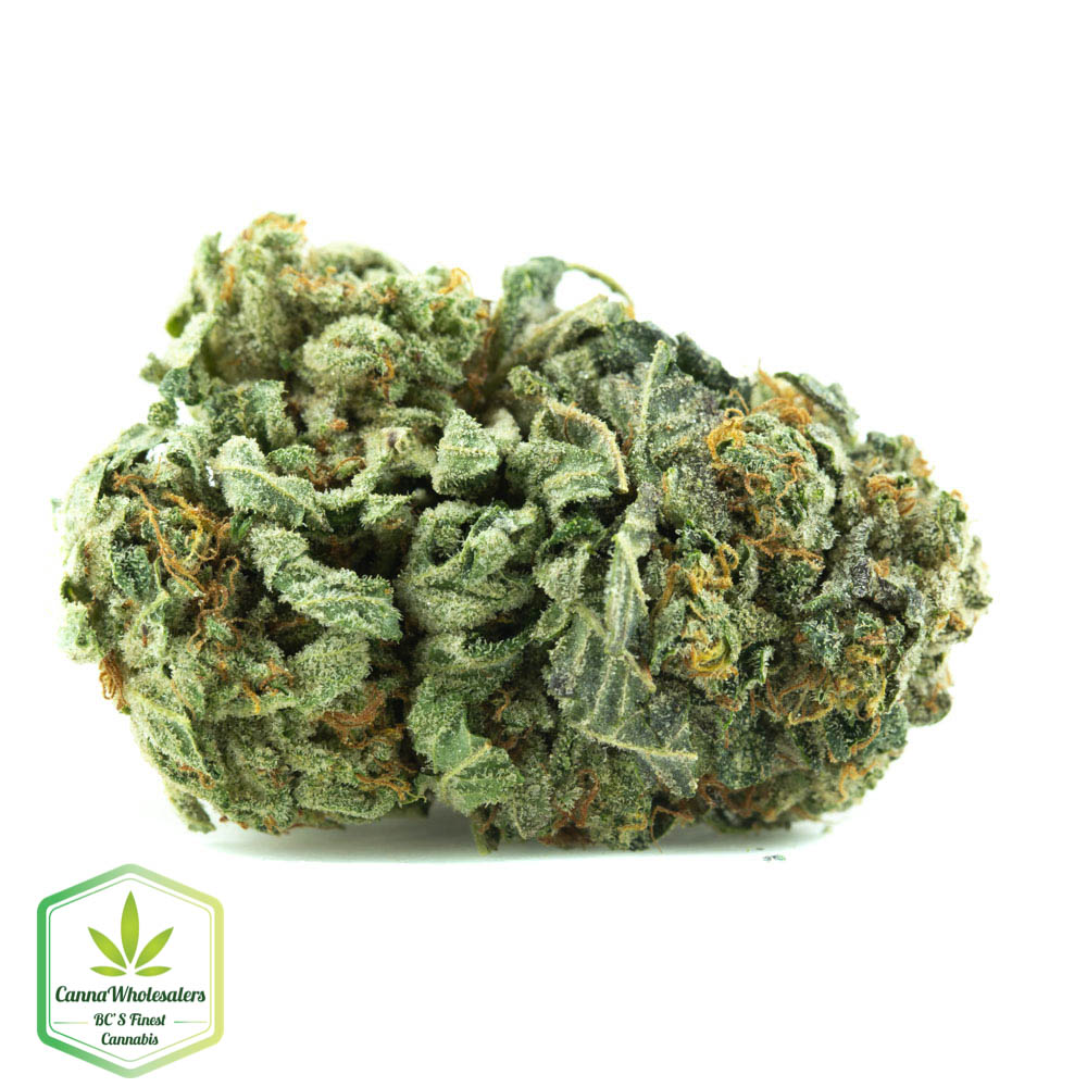Budget Bulk True OG