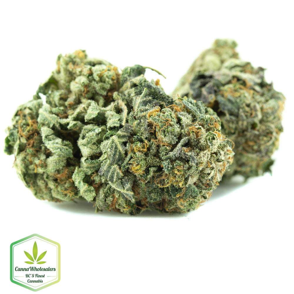 Budget Bulk True OG