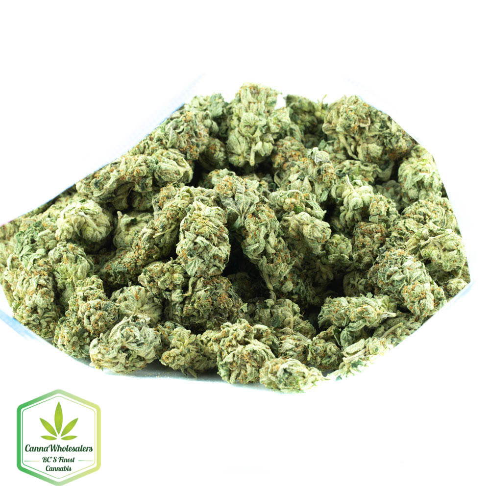 Budget Bulk True OG