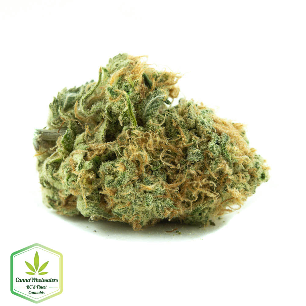 Zombie Kush