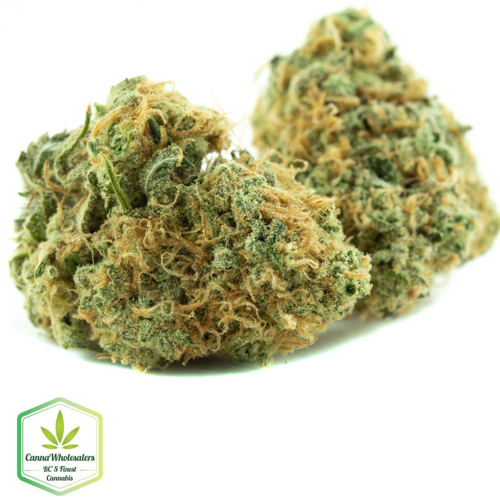 Zombie Kush