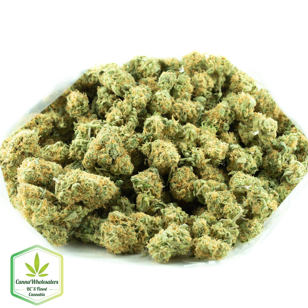 Zombie Kush