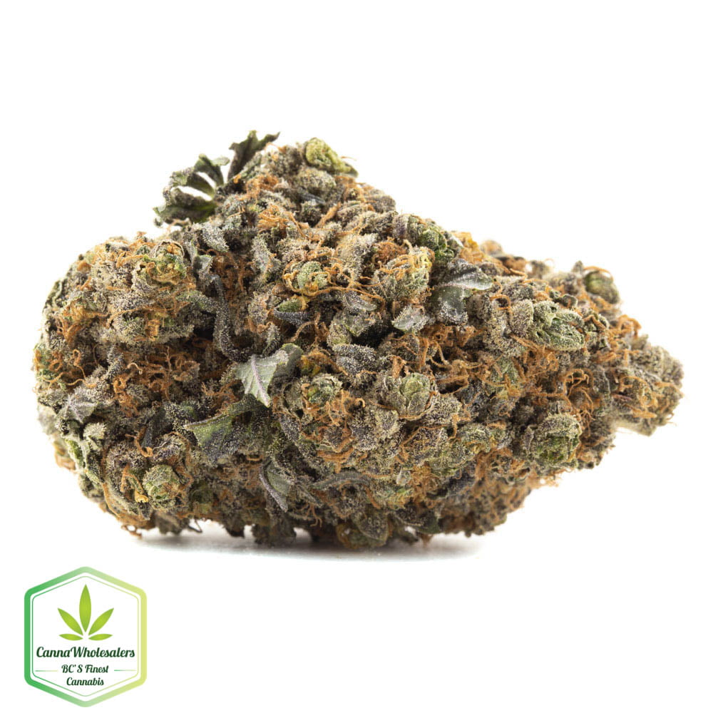 Love Potion #1