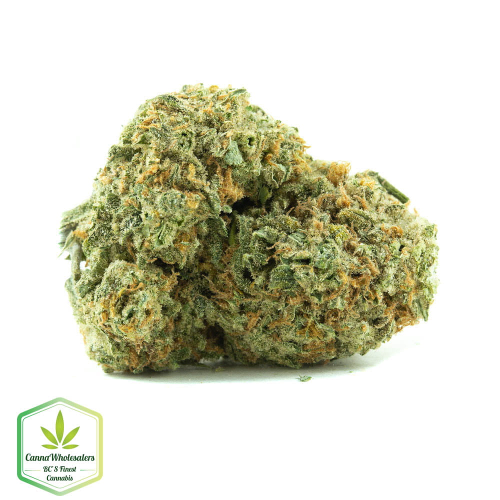 Girl Scout Cookies