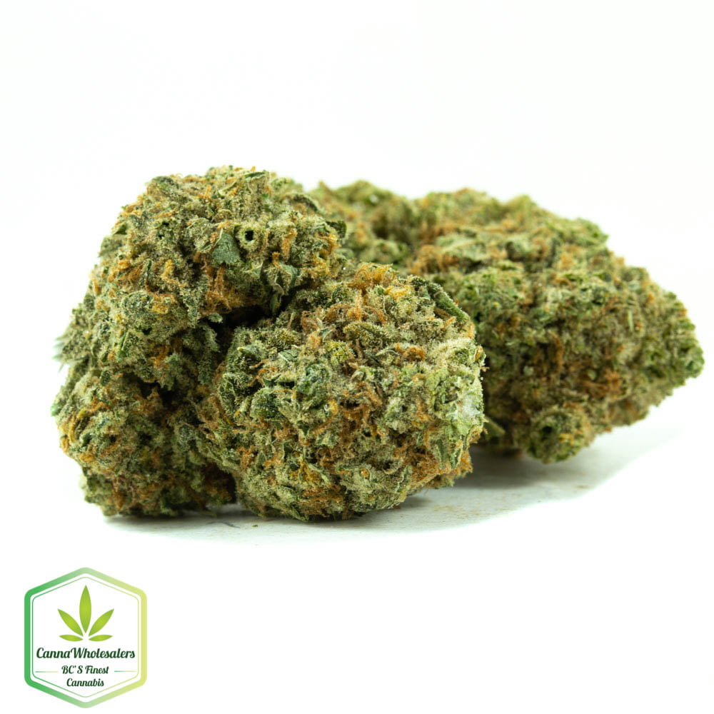 Girl Scout Cookies