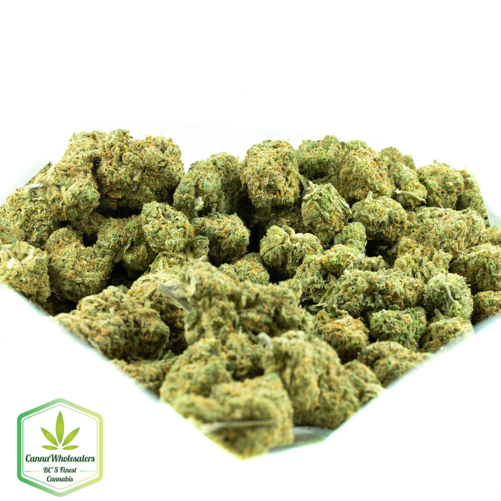 Girl Scout Cookies