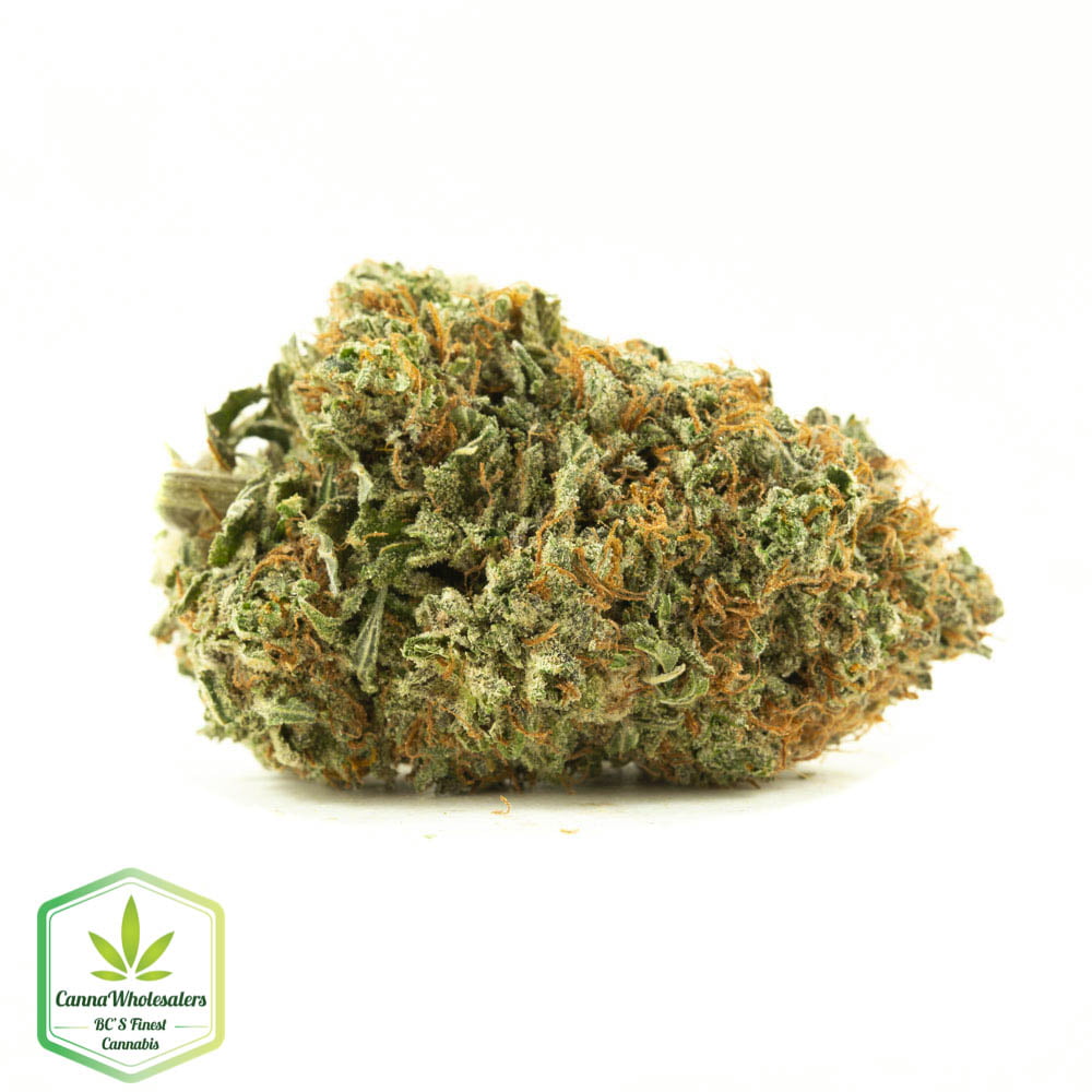Cannawholesalers – Purple OG Kush