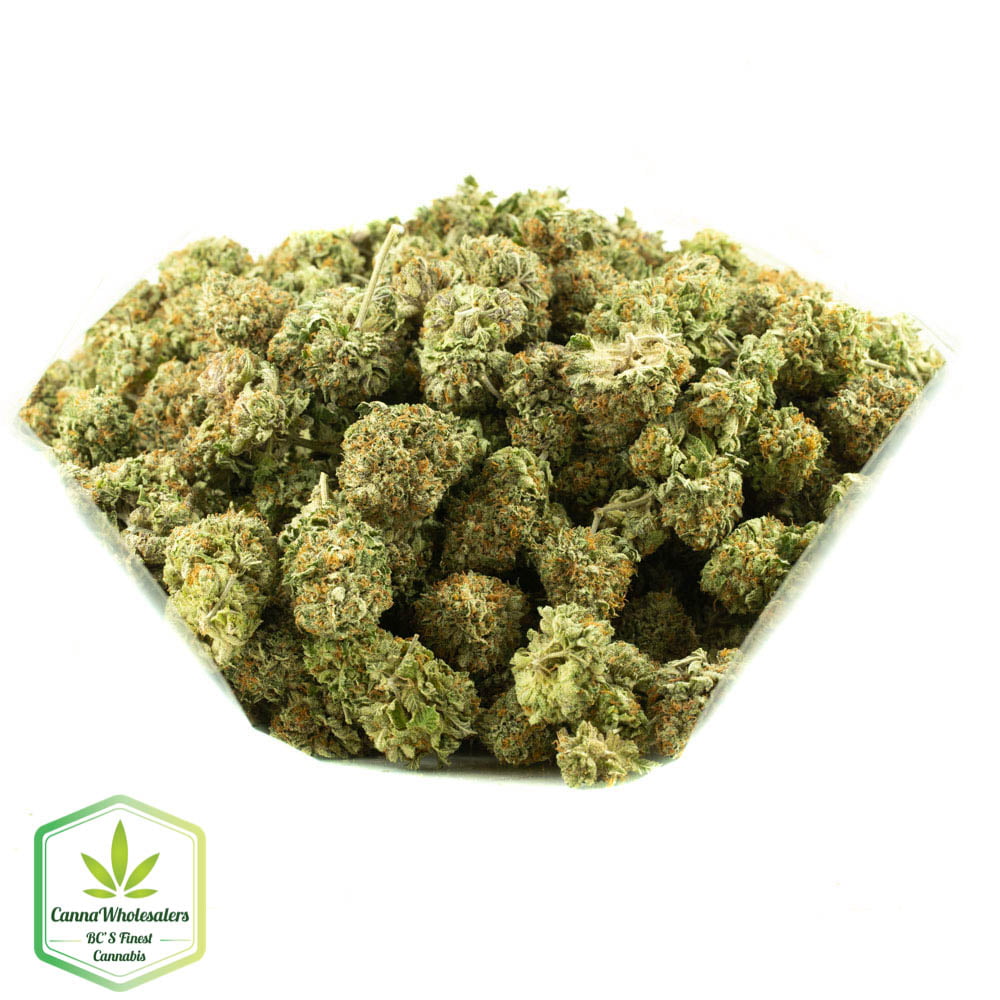 Cannawholesalers – Purple OG Kush