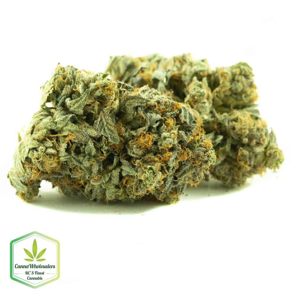 Cannawholesalers Northern Lights – Budget Ounce $50