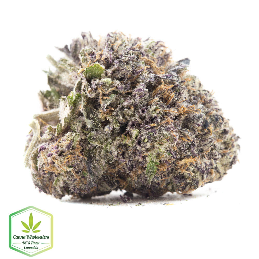 Grand Doggy Purps