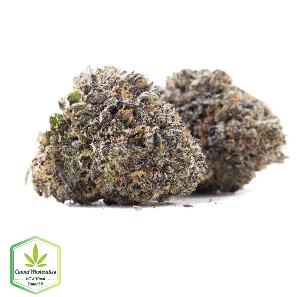 Grand Doggy Purps