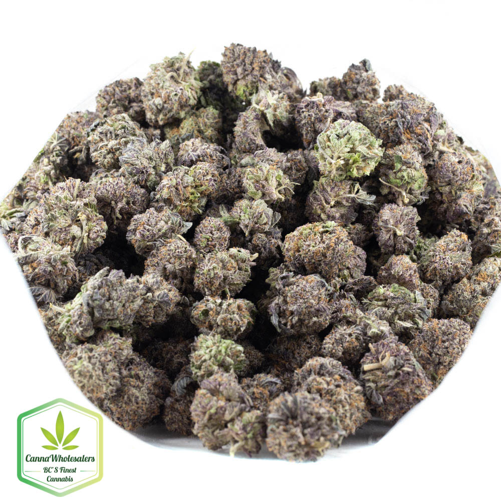 Grand Doggy Purps