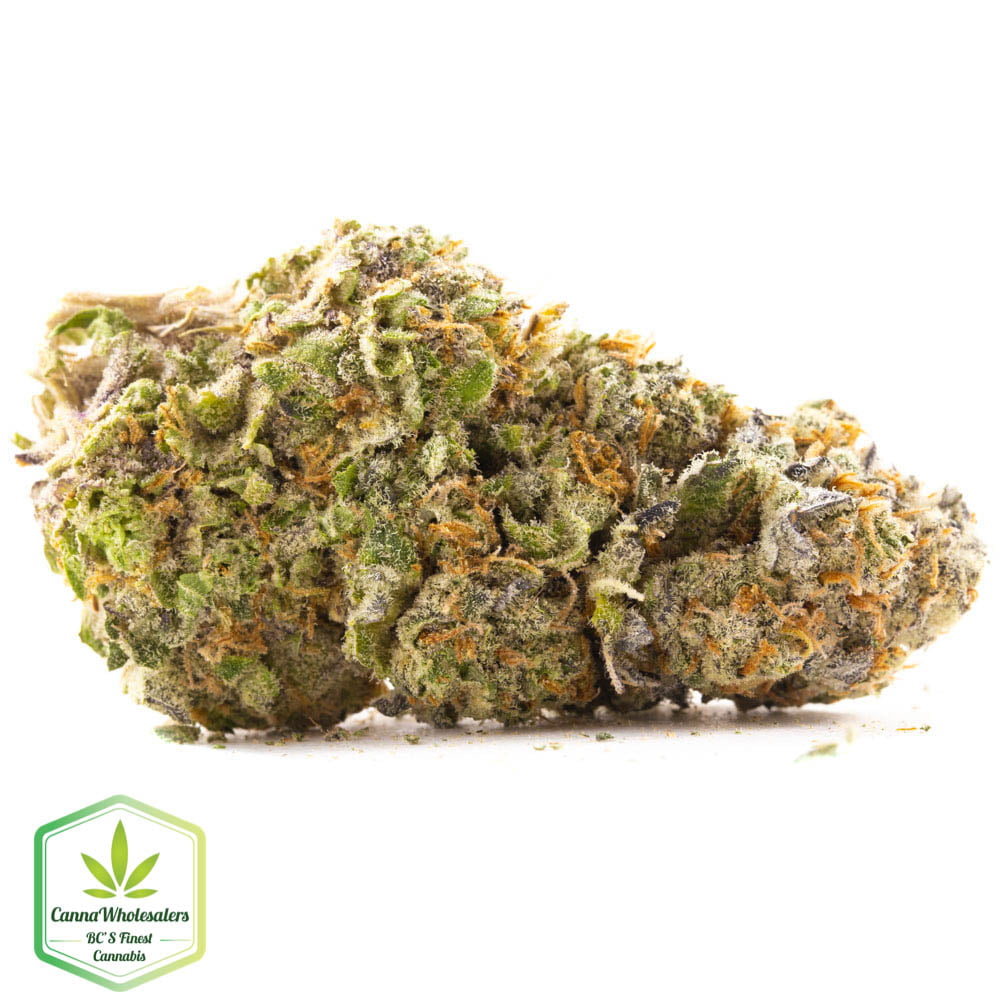 Budget Oz – CWS OG#18