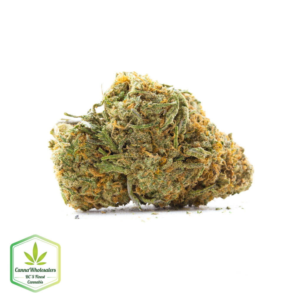 Dutch Hawaiian
