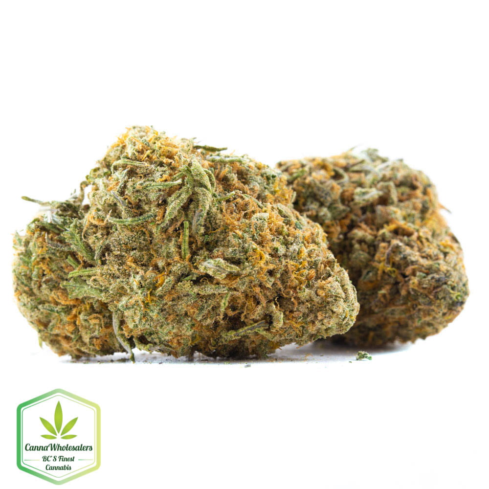 Dutch Hawaiian