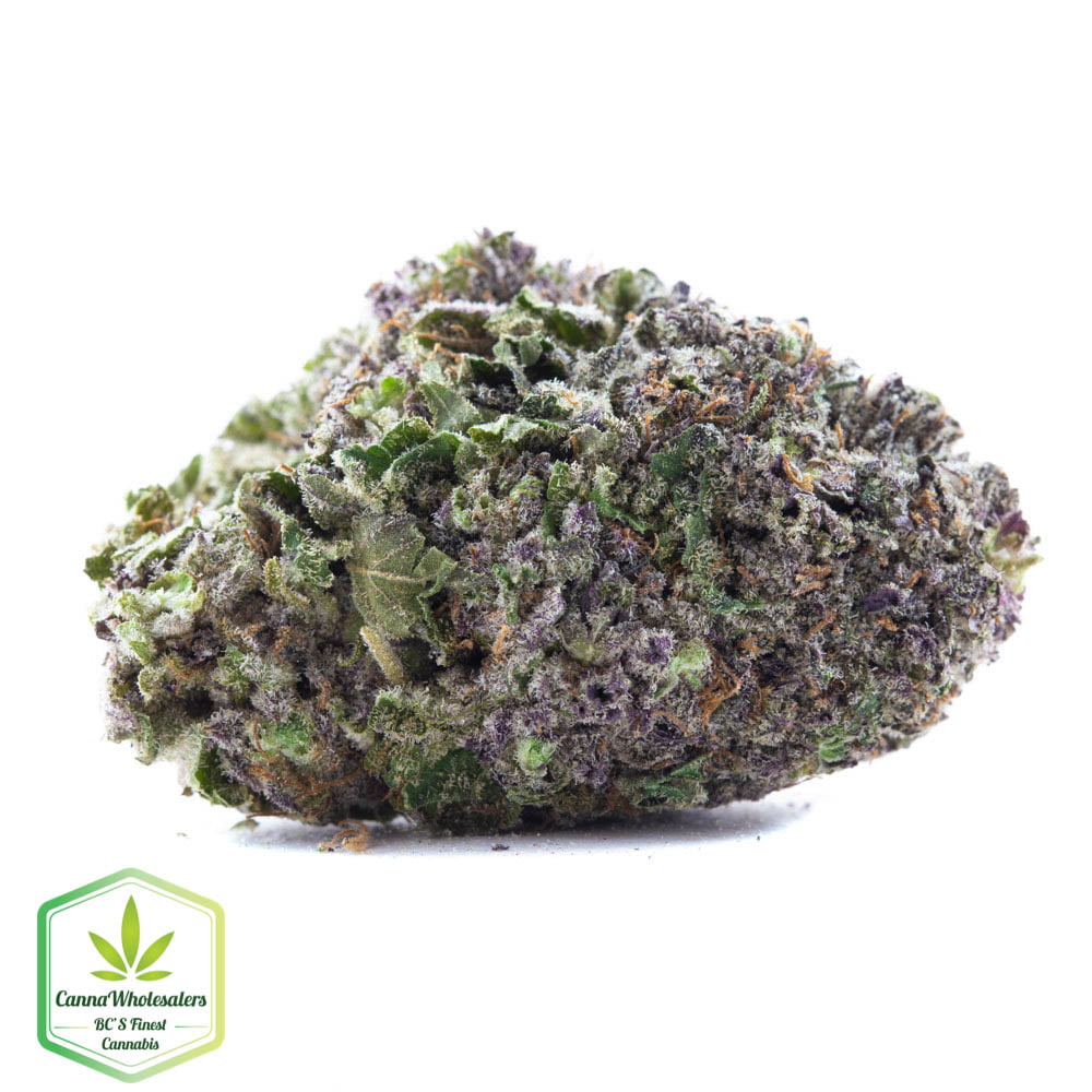 Purple Champagne