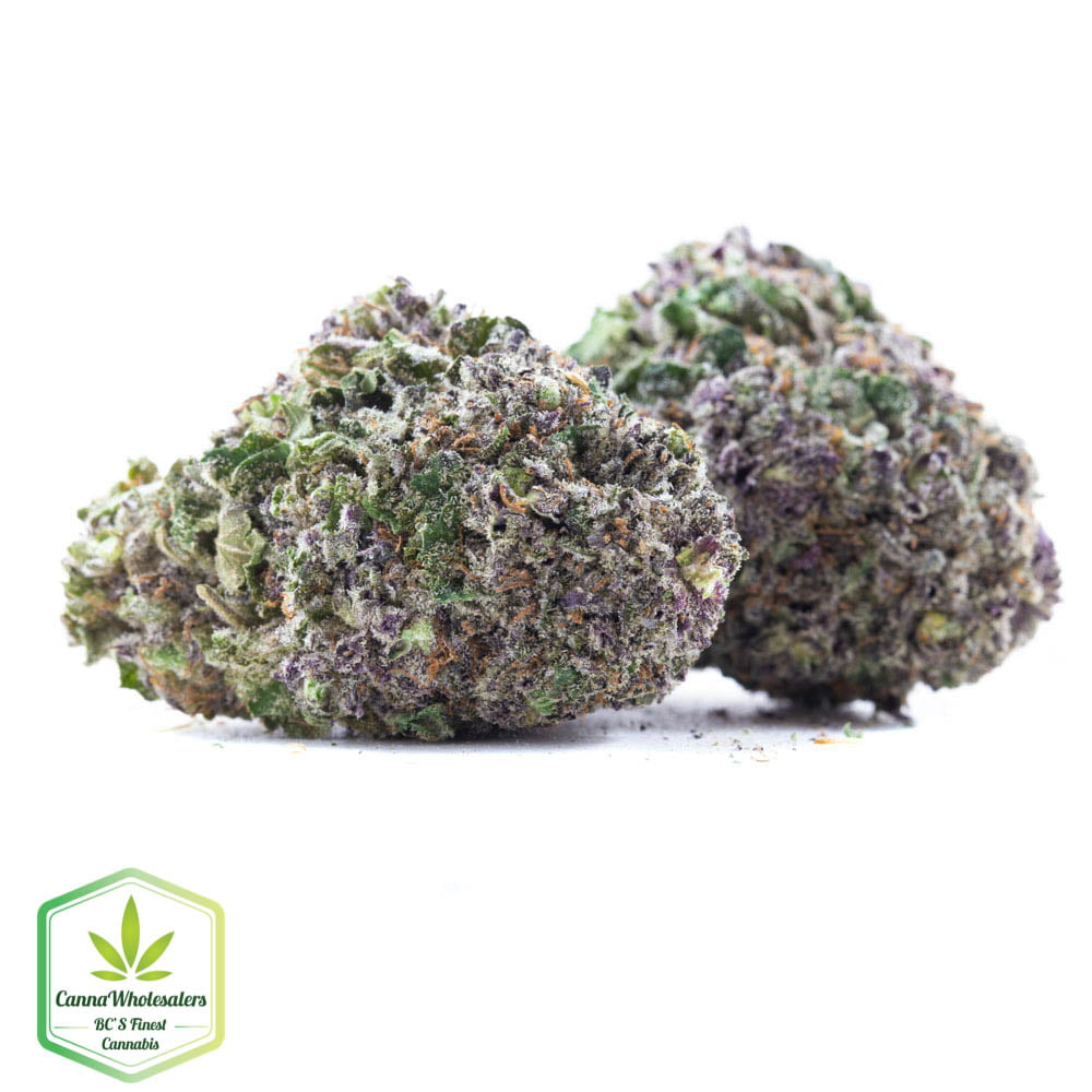 Purple Champagne