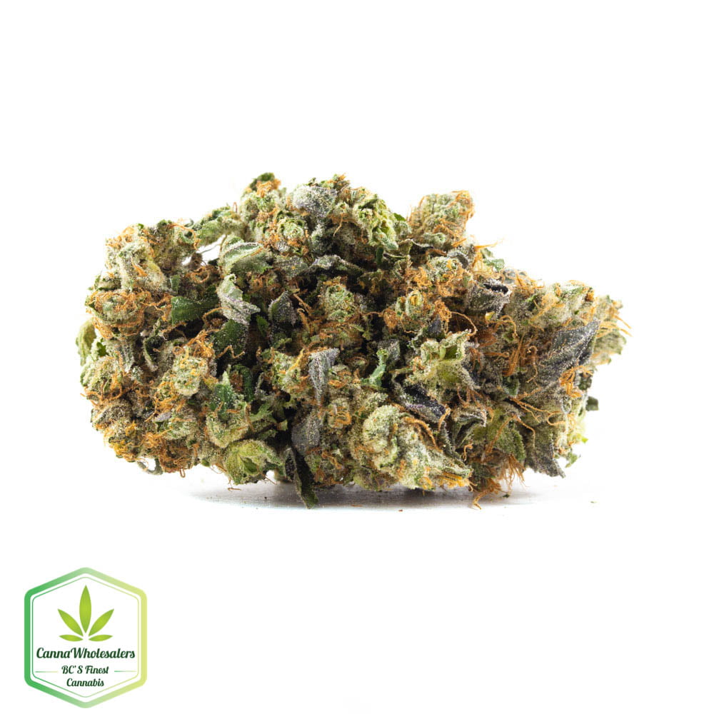 Budget Oz – East Coast Sour Diesel