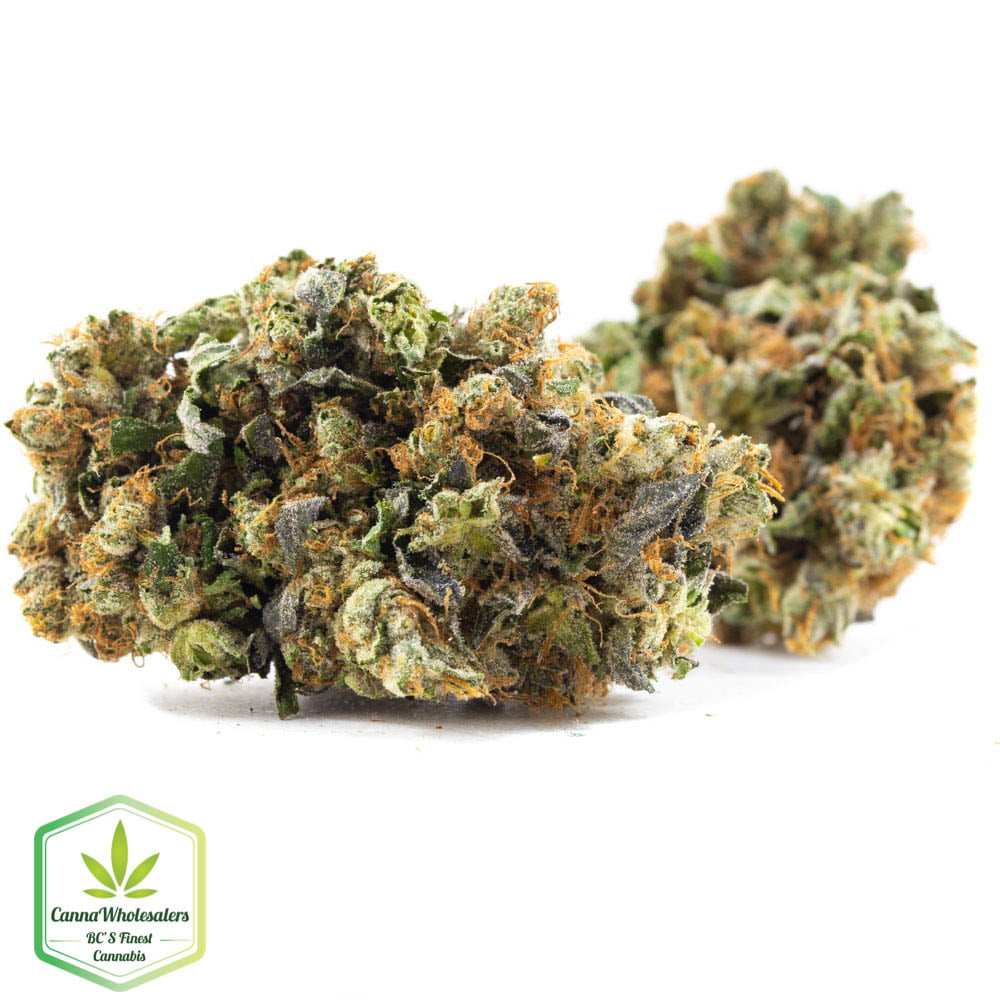 Budget Oz – East Coast Sour Diesel