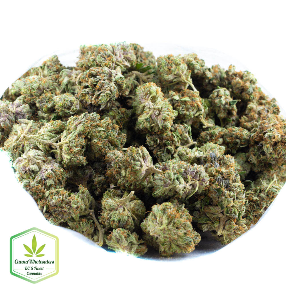 Budget Oz – East Coast Sour Diesel