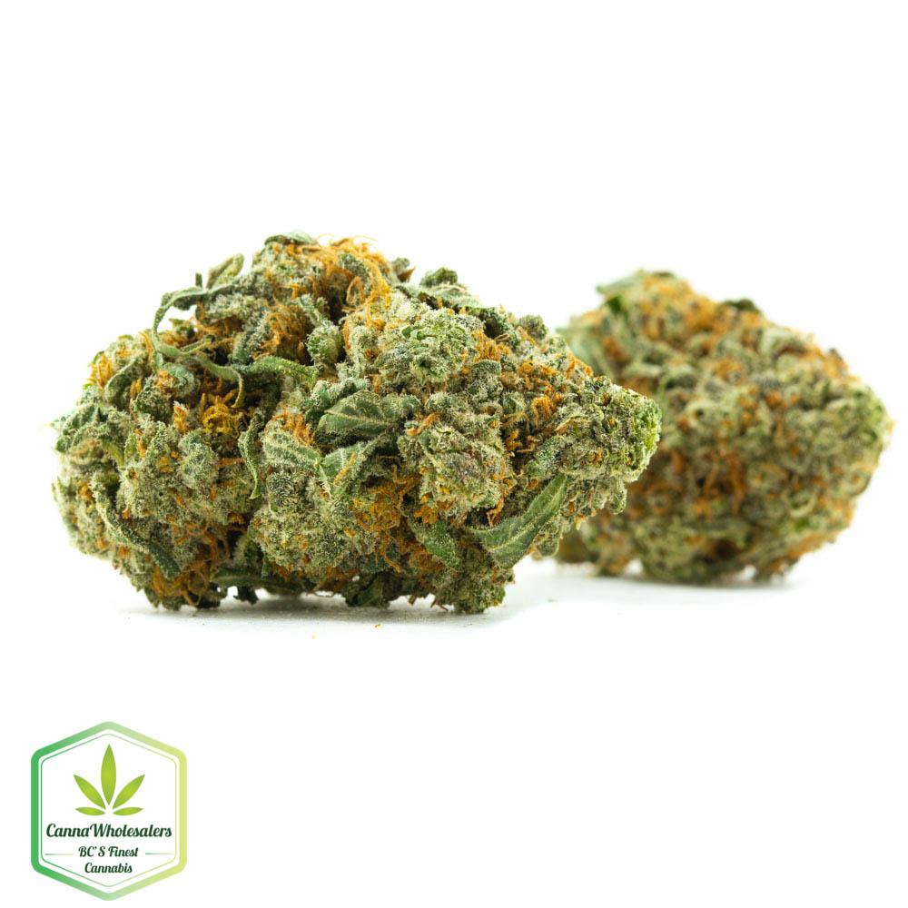 Cannawholesalers – Nectar Lime