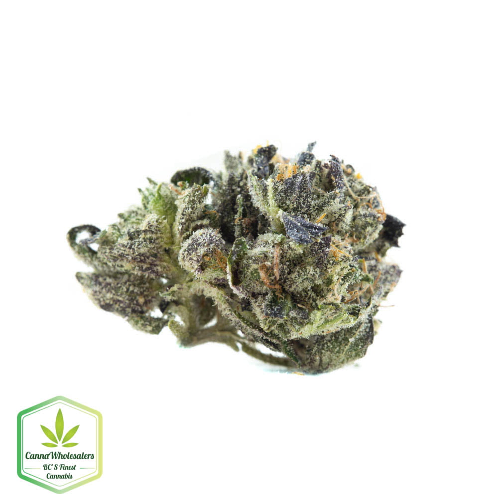 Master Kush Small Buds