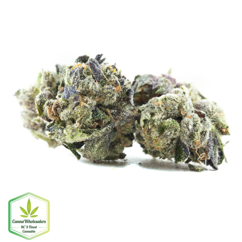 Master Kush Small Buds