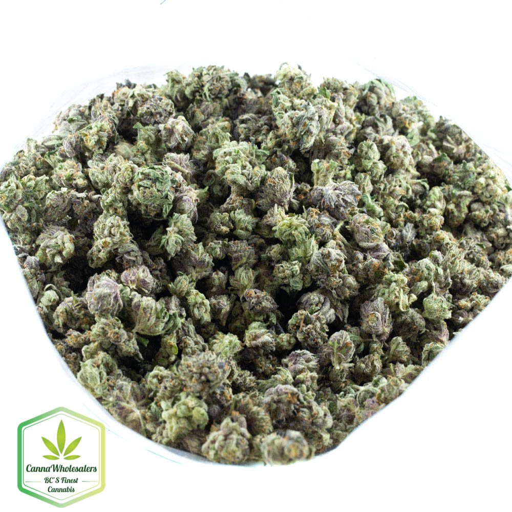 Master Kush Small Buds