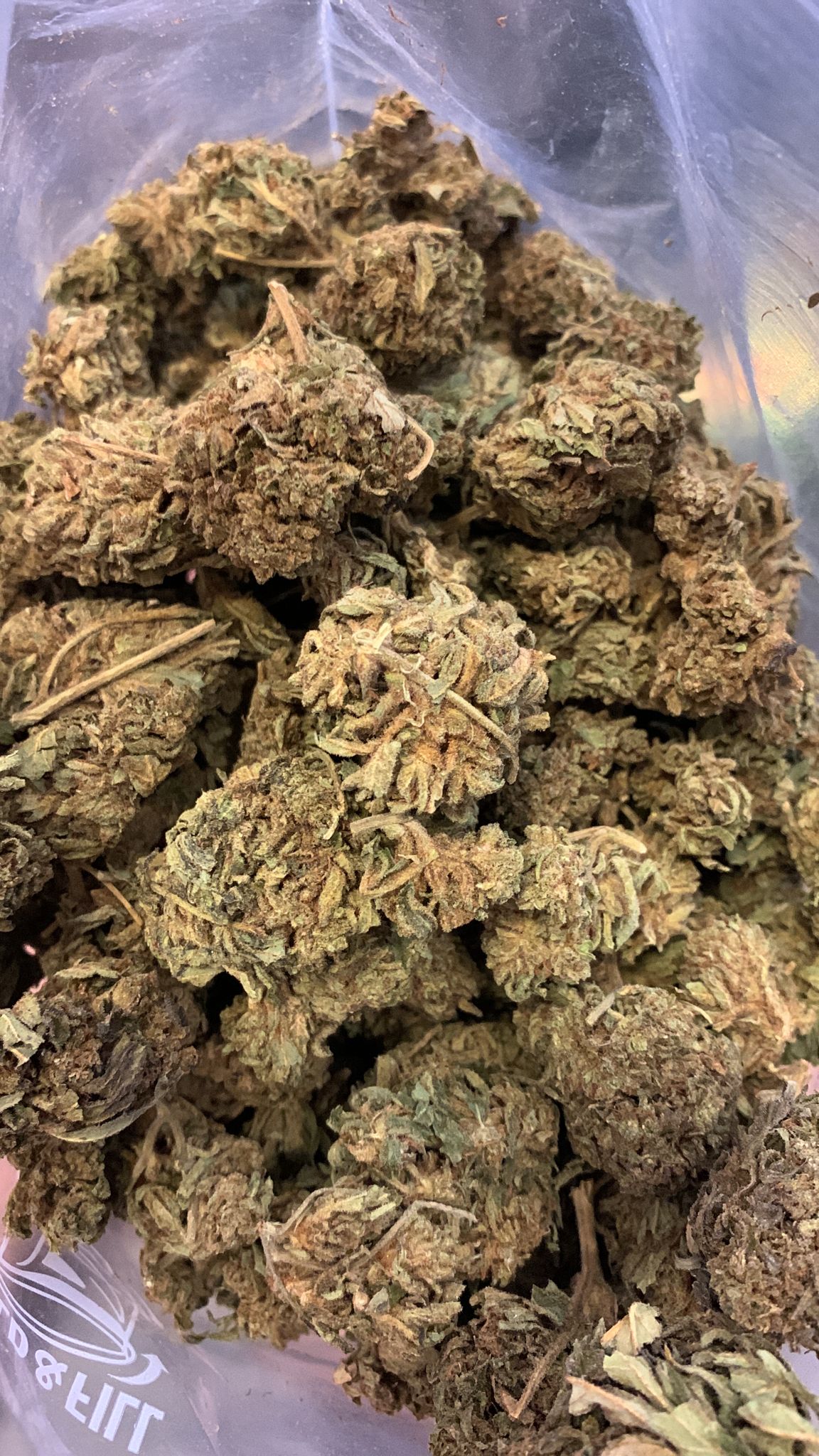 Monster Cookies