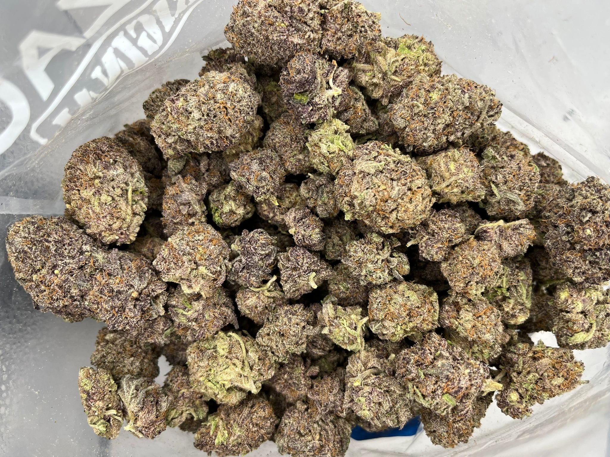 Slurricane