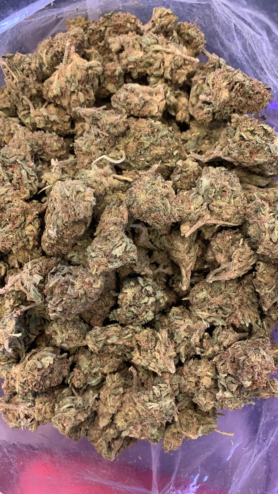 Budget Oz – Citradelic sunset
