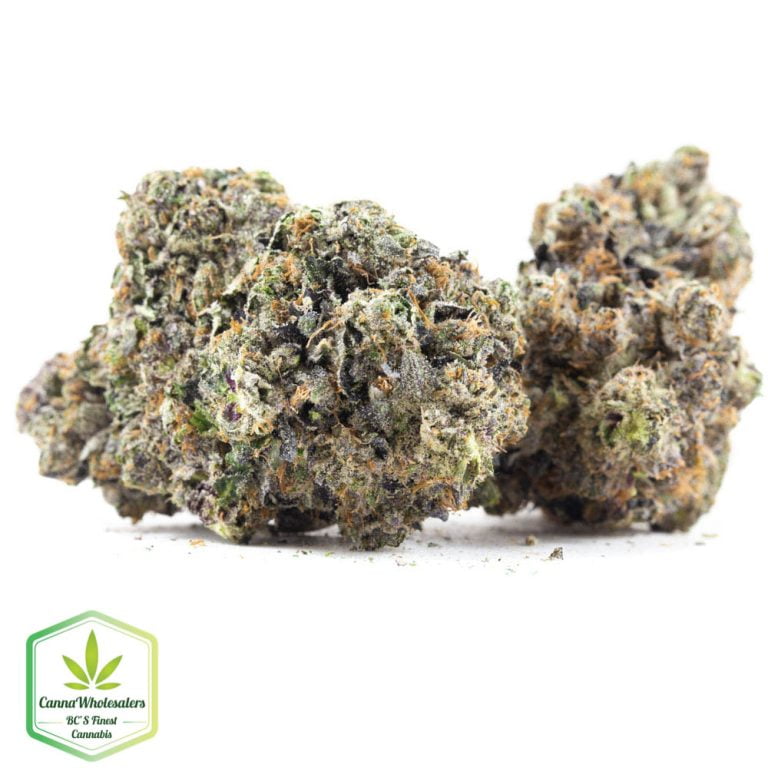 Pink Champagne – Budget Ounce